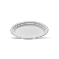 Sugarcane Oval Plate Small 192x259x25mm Ctn 500 (TY02)