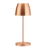 Montserrat Brushed Copper LED Cordless Lamp 300mm