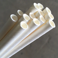 Jumbo Paper Straw - White 2500ctn