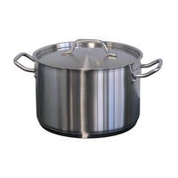 Forje Casserole Pot 11.1 Ltr Stainless Steel