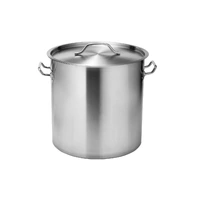 Force Stainless Steel Stockpot With Lid 36LT