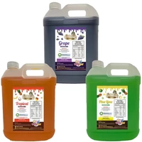Slushie Syrup Raspberry 4LT