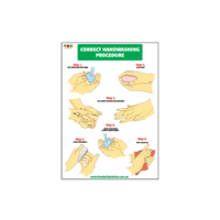 Food Safety Training Poster - Correct Handwashing Procedure