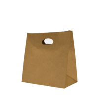 Kraft Paper Carry Bag Medium