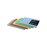 Cutting Board - Coloured set of 5 - 230x380x12mm w/hdl