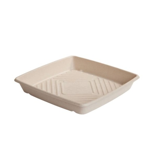 Sugarcane Platter - Large 50ctn