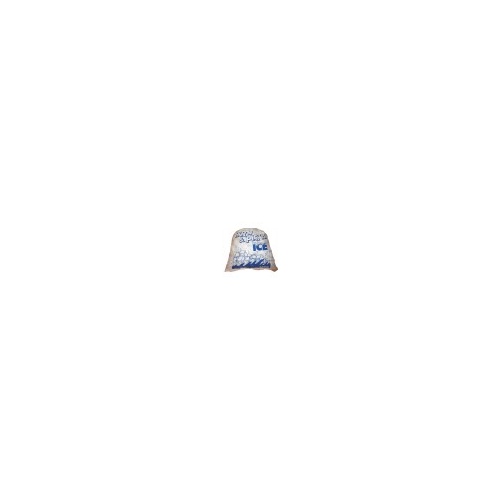 5kg Party Ice Bag 500ctn